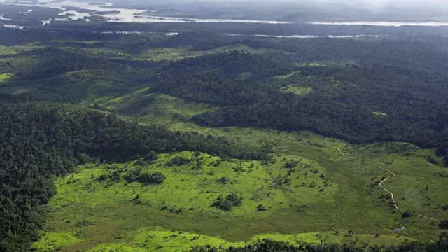 Floresta Amazônica