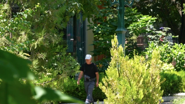 Яшил қоплам