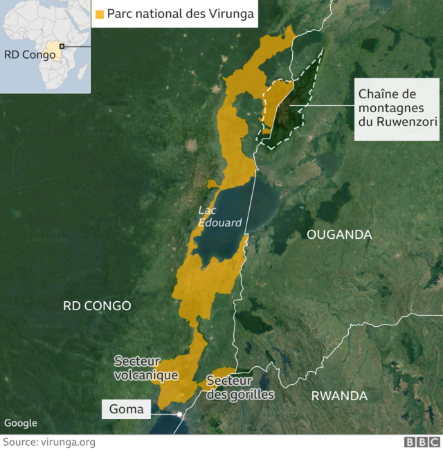Le parc national des Virunga dans l'est de la République démocratique du Congo.