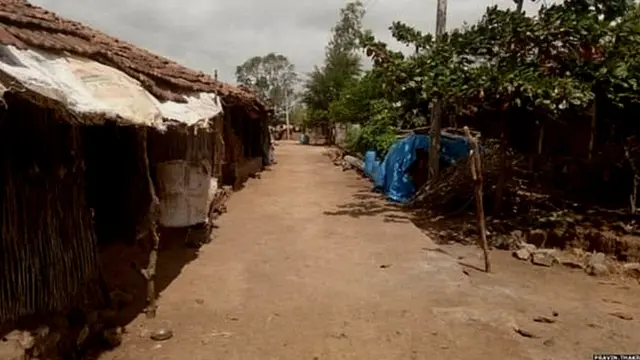 ਰਾਇਨਪਾੜਾ