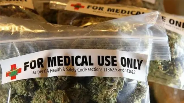 Pacotescasino italia onlinemaconha para uso medicinal