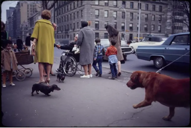 The Estate of Garry Winogrand