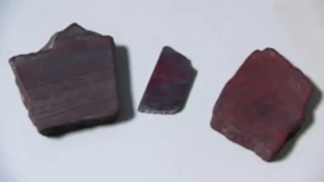 Algunas de las rocas en las que fueron hallados los fósiles.