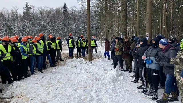 Вырубка троицкого леса