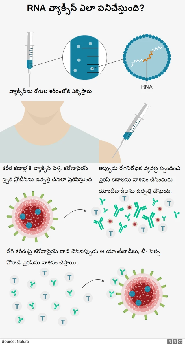 కరోనావైరస్ వ్యాక్సీన్