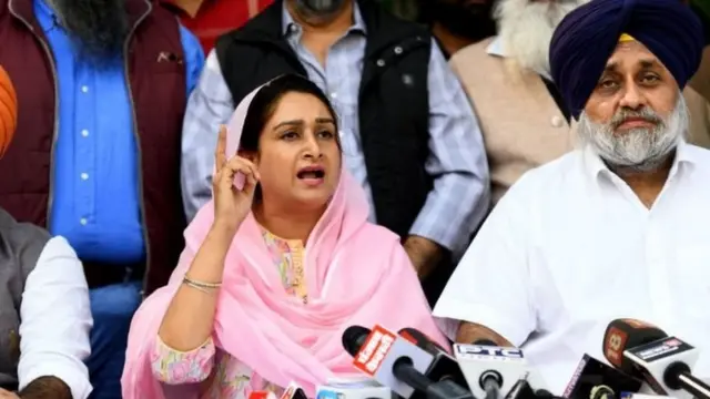 அகாலிதளம்