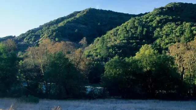 सुगरलोफ़ रिज़ स्टेट पार्क, कैलिफ़ोर्निया, अमरीका