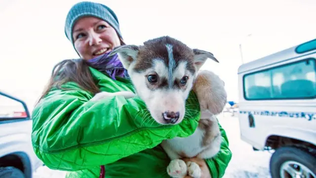 Мешканка Шпіцбергену
