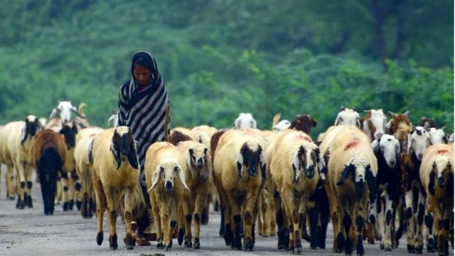 ప్రతీకాత్మక చిత్రం