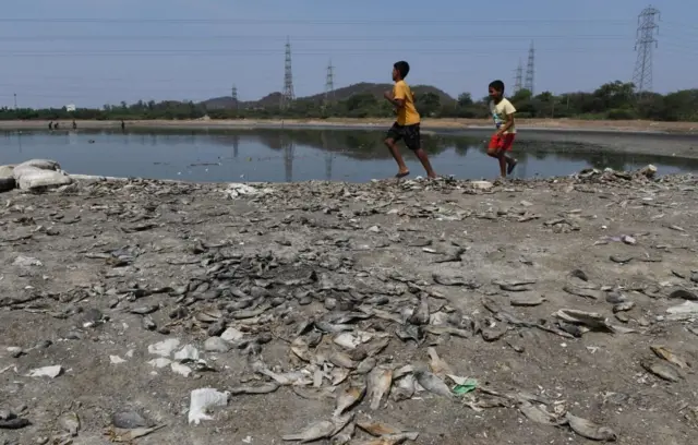 சென்னையில் ஏரி ஒன்றில் நீரில்லாமல் செத்துப்போன நூற்றுக்கணக்கான மீன்கள்