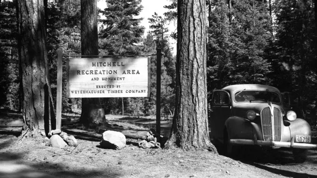 पिकनिक मनाने की जगह