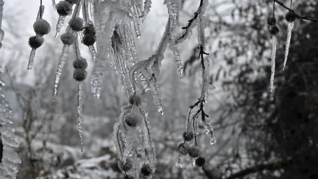 शोपियां