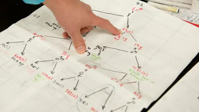 Схема потомства