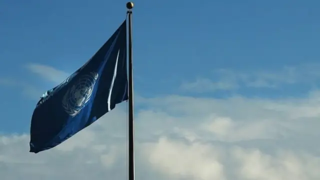 संयुक्त राष्ट्र का झंडा