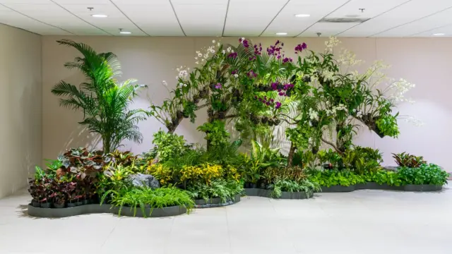 Естественные природные цвета ассоциируются с эффективностью и творчеством