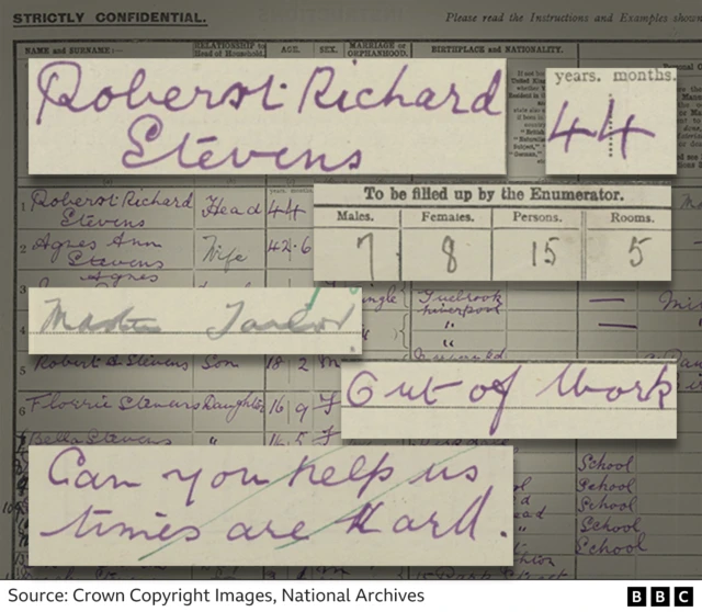 Extracts from Robert Steven's 1921 Census form