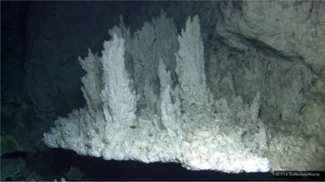 Гідротермальне родовище в Атлантиці