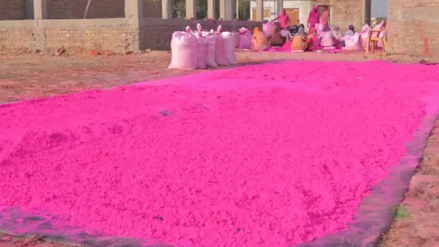 रंगों का करोबार, कानपुर