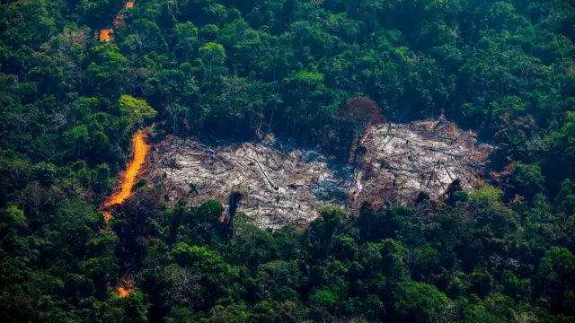 Foto aérea mostra clarão no meio da floresta, com área incendiada