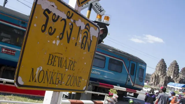 ป้ายเตือนลิง