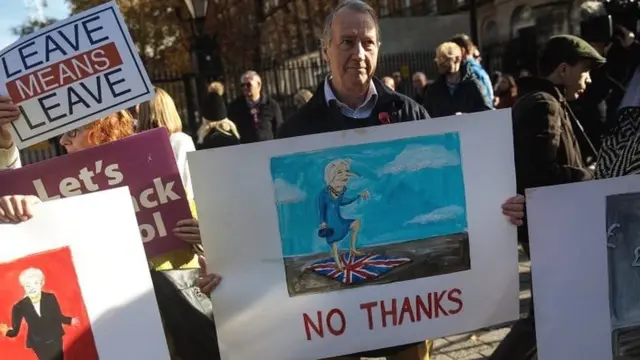 બ્રેક્ઝિટ દેખાવો