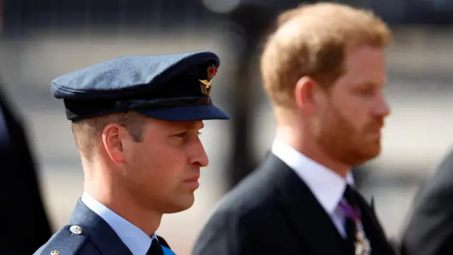 Prince William and Prince Harry