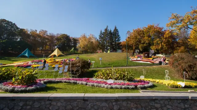 "Поющие цветы": киевский фестиваль хризантем в фото - BBC News Україна