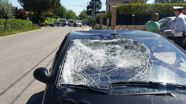 El vehículo con el que chocó Hayden