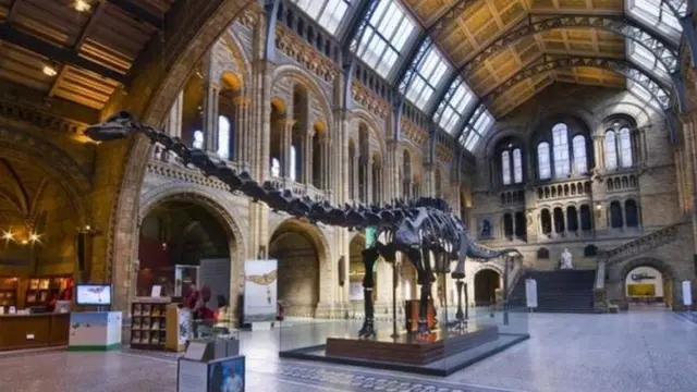 伦敦自然历史博物馆