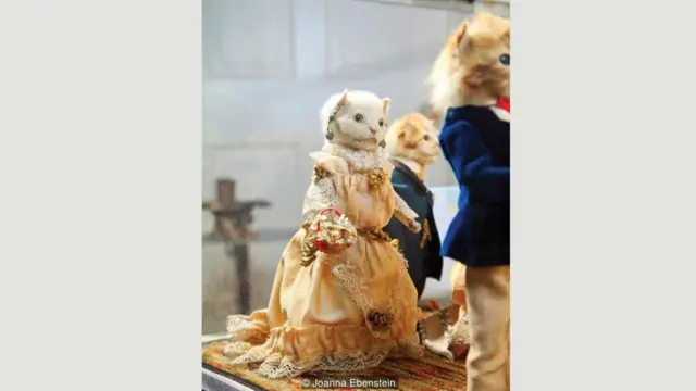Taxidermy, mengawetkan binatang, walter potter