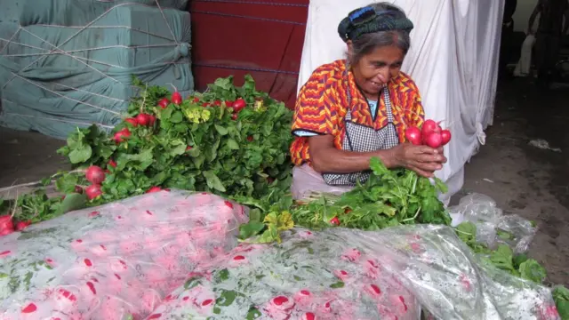 Rábanos de Almolonga