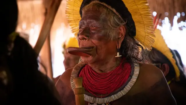 Beberapa kelompok masyarakat adat berencana untuk menyelamatkan diri dari pandemi dengan mencari perlindungan di hutan