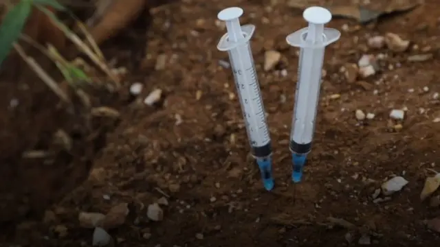 పచ్చరాళ్ల ఆశలు