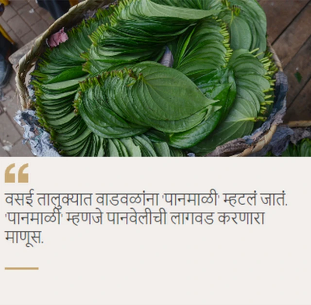 वाडवळ समाज कोण आहे? वैशिष्ट्यपूर्ण पदार्थांमधून उलगडलेली वाडवळी संस्कृती...
