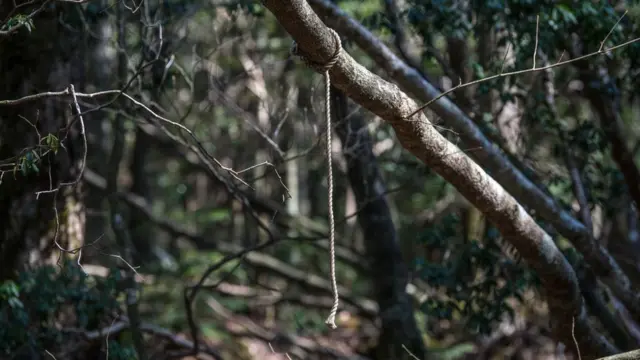 Ліс самогубців у Японії