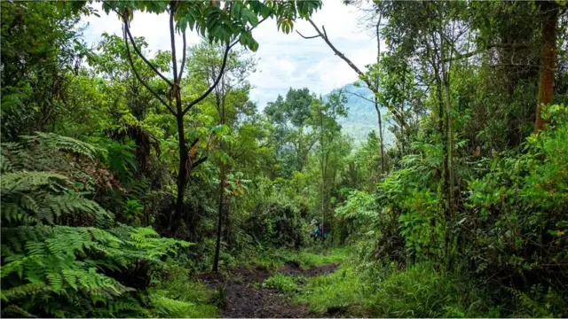 نیراگونگو، لاوا، افریقہ، آتش فشاں، آگ کی جھیل، کانگو