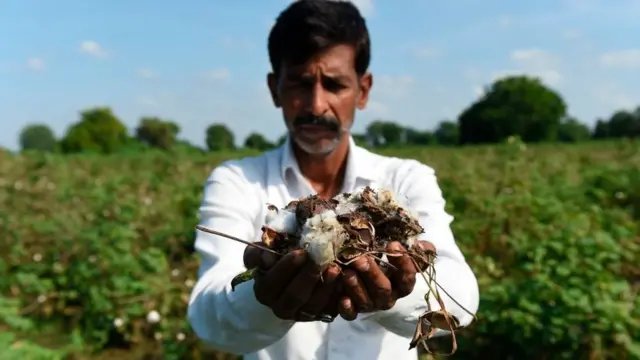 વડગામની બેઠકના અપક્ષ ધારાસભ્ય તથા કૉંગ્રેસમાં જોડાવાની જાહેરાત કરનારા જિજ્ઞેશ મેવાણીએ આ જાહેરાતને આવકારી હતી અને તેને ચૂંટણીલક્ષી ગણાવી હતી.