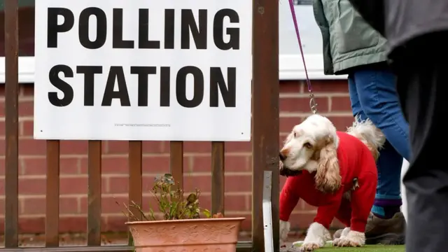 หมาที่เขตเลือกตั้ง