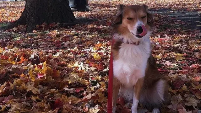 Ассаль вже двічі перетинала океан