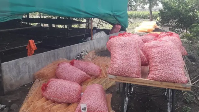 रेशीम शेती