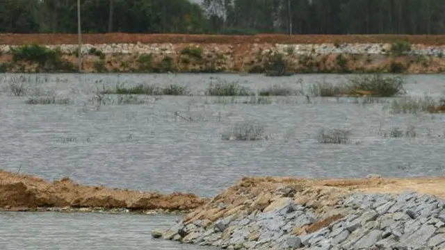 તળાવની પ્રતીકાત્મક તસવીર