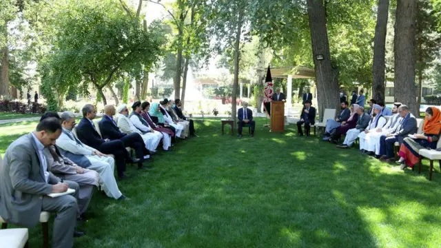 حکومتي پلاوی