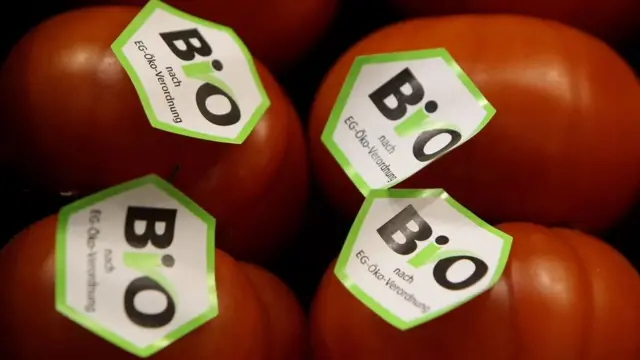 "그린"이라는 단어는 다른 색이 갖지 못한 긍정적인 의미를 갖고 있다.