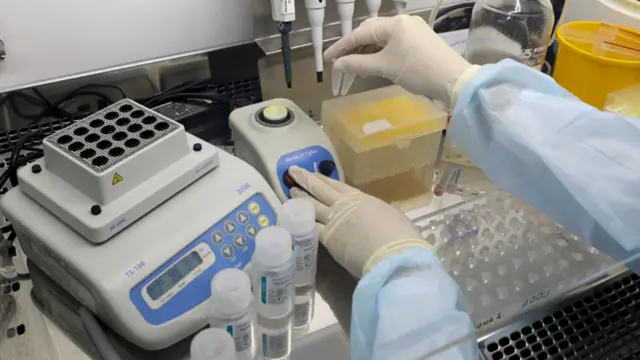 परीक्षण