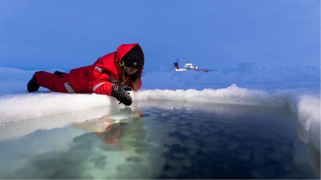 北極的冰層具有欺騙性，因為被稱為「假底」的堅冰露頭可能潛伏在海水下看不見的地方。