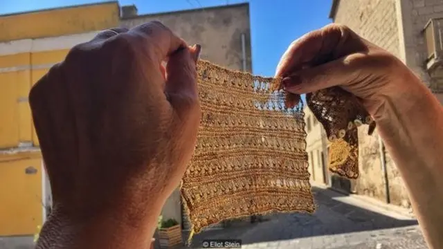 धूप में रखने पर समुद्री सिल्क भूरे से सुनहरे रंग में बदल जाता है.