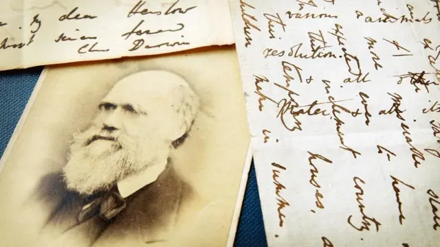 Teori seleksi alam Wallace