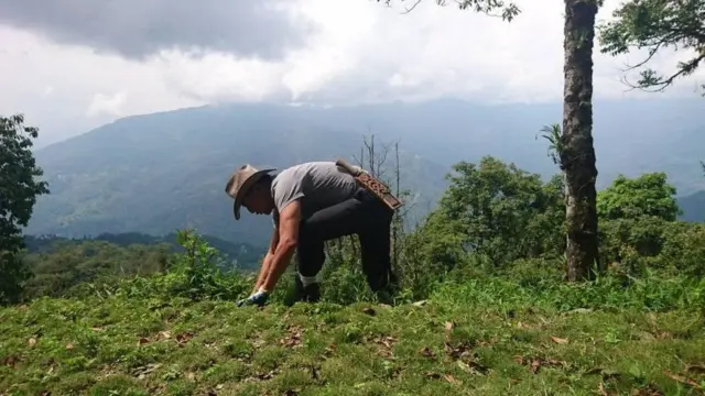 ડૈની ડૈનઝોંગ્પા