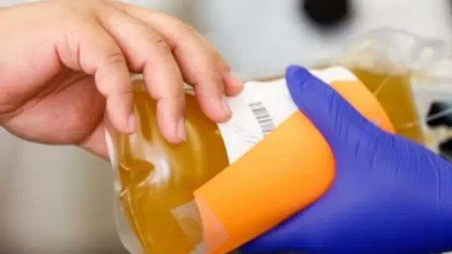 प्लाज़्मा