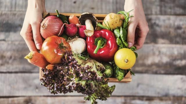 Pessoa segurando legumes, verduras, frutas e cogumelos